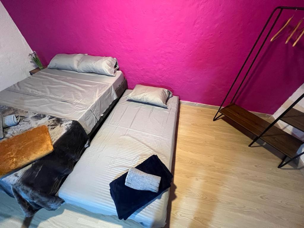 Apartaestudios Las Astromelias Salento Zewnętrze zdjęcie